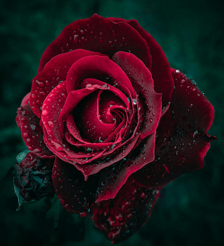 @wyxina on Unsplash @wyxina on Unsplash